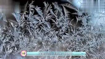 液氮视频大全,揭秘液氮视频大全中的神奇现象
