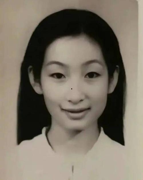 明星金花图片,明星风采瞬间捕捉