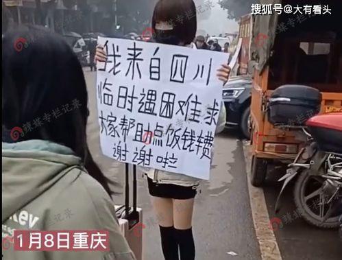 丝袜看阴部视频,揭秘阴部视频的隐秘世界