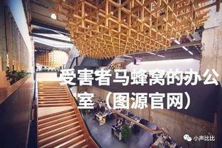 马蜂窝爆料视频,行业乱象背后的真相