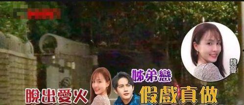 明星姐弟爆料视频合集大全,揭秘娱乐圈幕后故事