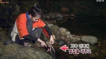 野外求生明星视频,真实生存技能大揭秘