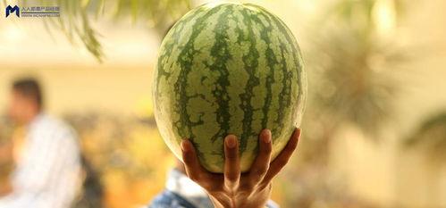 2021娱乐圈吃瓜不断